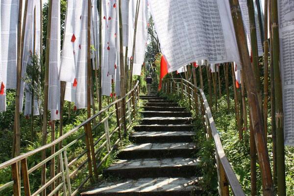 Bon Farmhouse, Ravangla 5